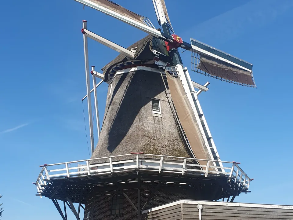 De Lelie te Ommen