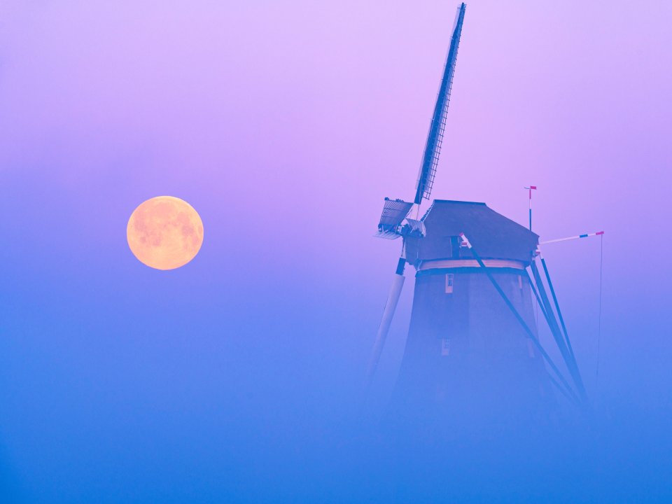 Molenviergang Aarlanderveen - Wilco Bos