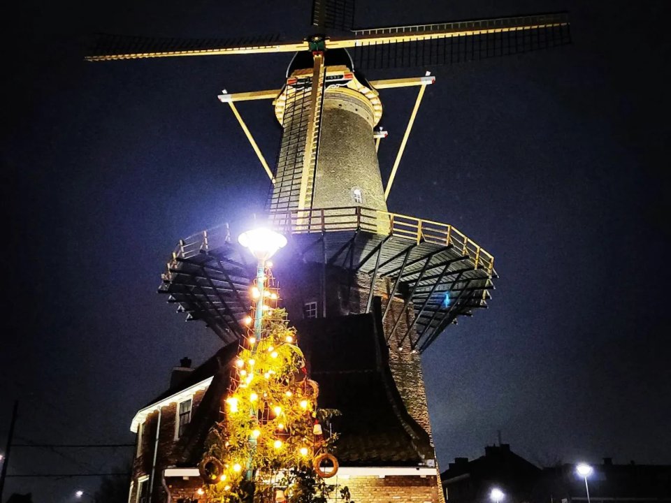 Een avond foto van de stellingmolen De Roos in delft met een verlichtte kerstboom ervoor. 