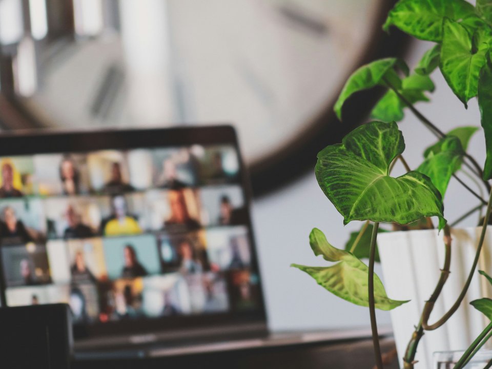 Rechts staat een deel van een grote groene plant. ook staat een laptop beeldscherm met een online video conferentie