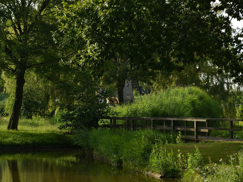 Klein stukje van de wiek van de Wippersmolen in Maasluis is zichtbaar en zit verstopt achter het vele groen er omheen