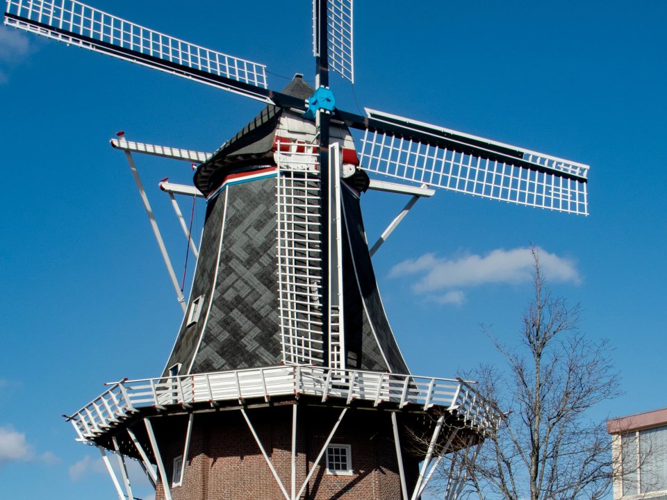 Molen Adam Delftzijl_Bert de Boer_2026