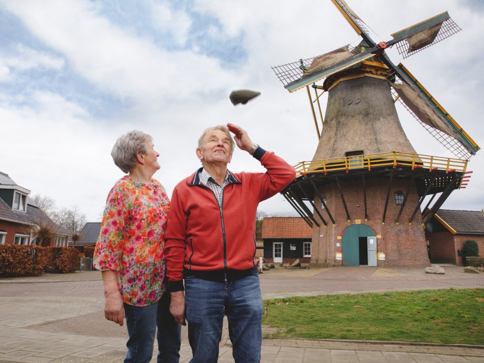 De Hollandsche Molen