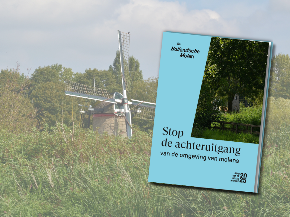 Kap van de molen steek net boven al de hoge bomen en struiken uit. Aan de linkerkant staat het beeld van de voorkant van het pamflet