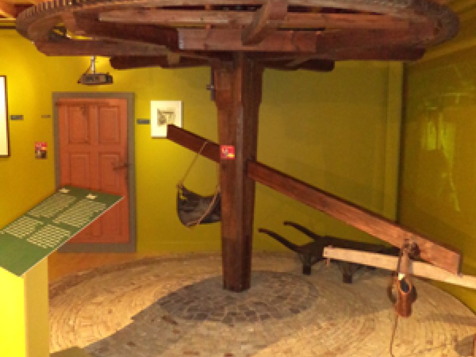 Rosmolen in het Frysk Lânbou Museum te Earnewâld