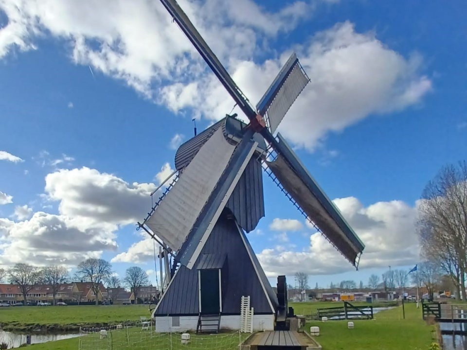 Schoterveense molen, Haarlem