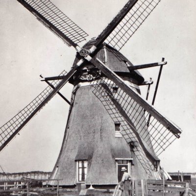 Westbroekpolder, Zuidbuurtse molen te Zoeterwoude-Dorp